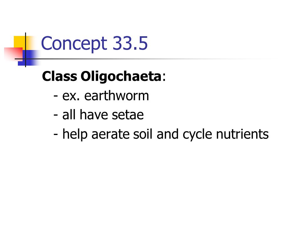 Concept 33.5 Class Oligochaeta: - ex. earthworm - all have setae