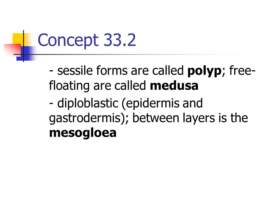 Concept sessile forms are called polyp; free-floating are called medusa.
