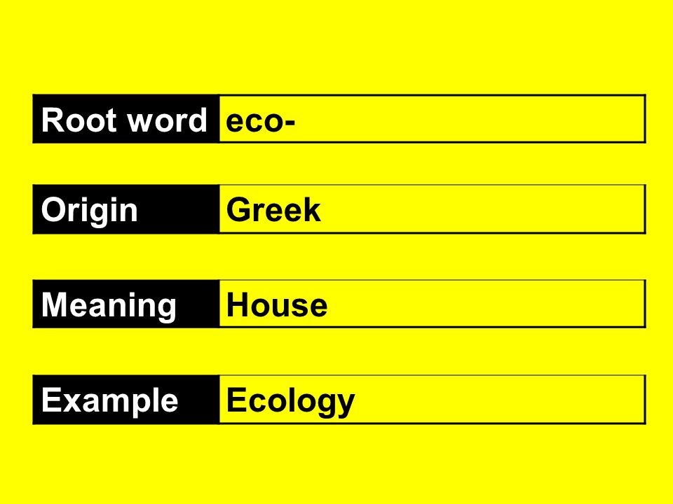 50 Greek and Latin Root Words