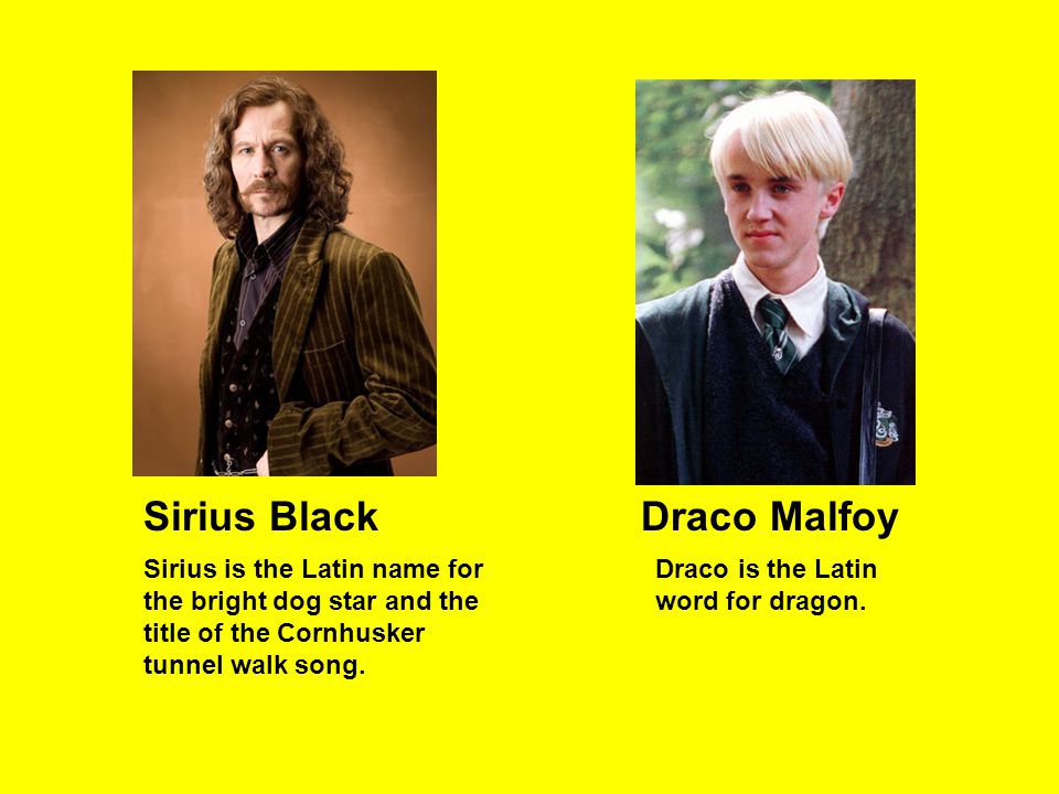 Sirius Black Draco Malfoy.