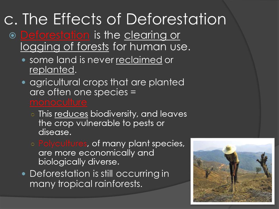 c. The Effects of Deforestation