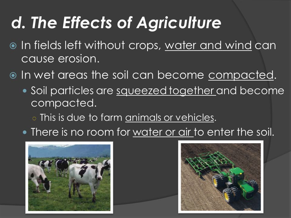 d. The Effects of Agriculture