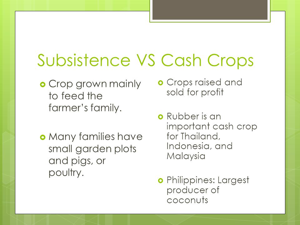 Subsistence VS Cash Crops
