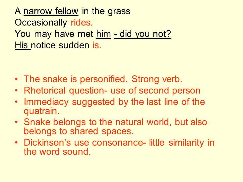 a narrow fellow in the grass poem