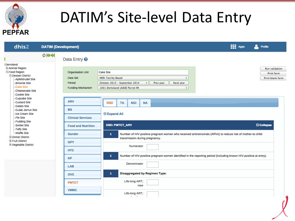 DATIM’s Site-level Data Entry