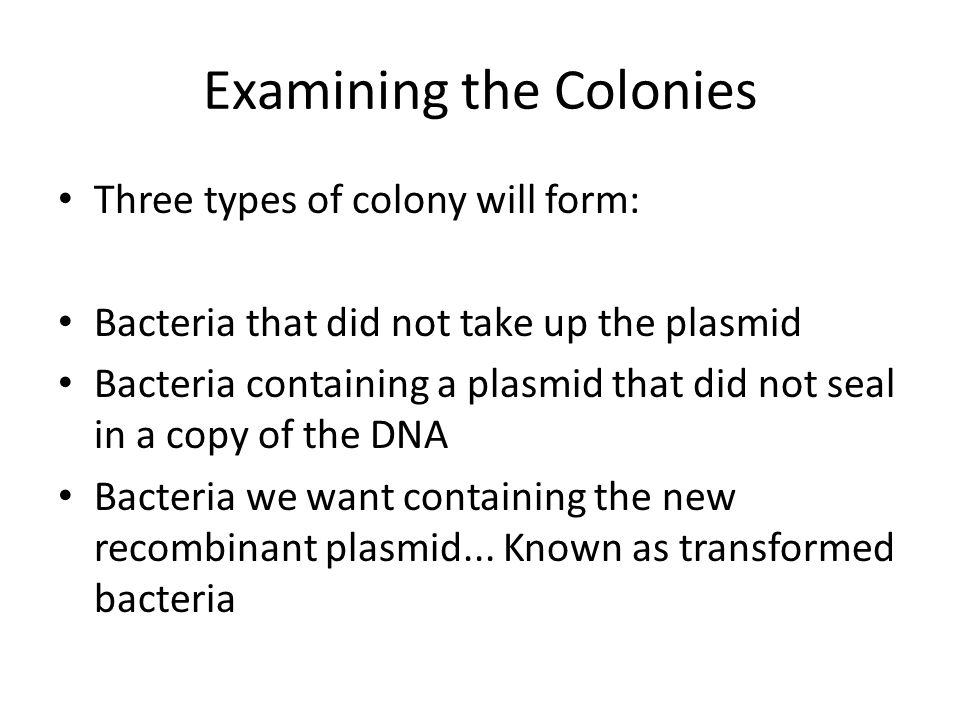Examining the Colonies