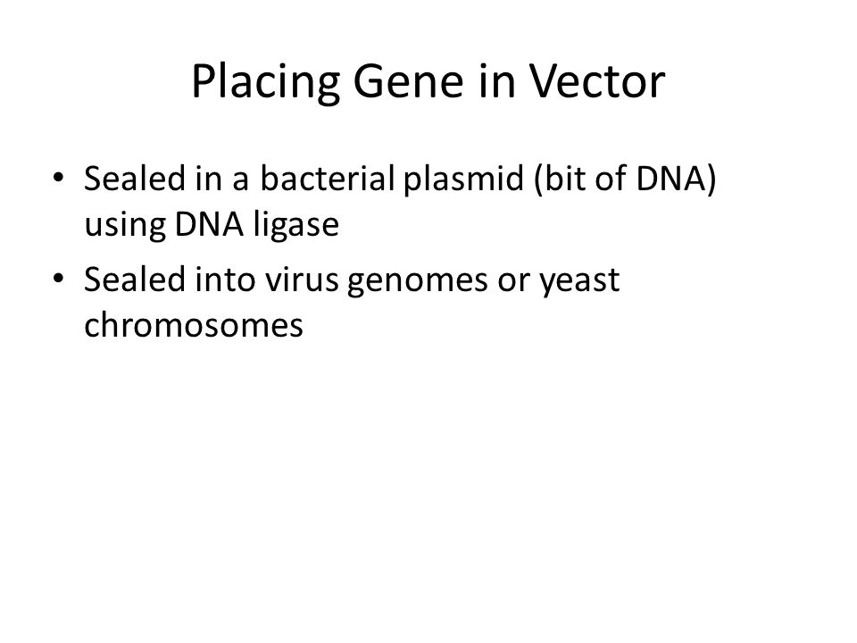 Placing Gene in Vector Sealed in a bacterial plasmid (bit of DNA) using DNA ligase.