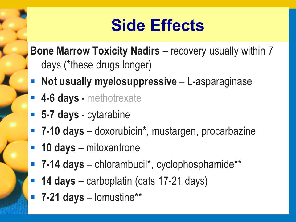 chlorambucil for cats side effects