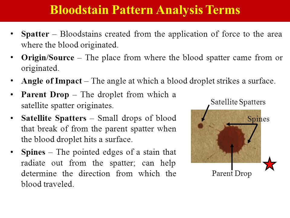Forensic Characterization of Bloodstains ppt video online download