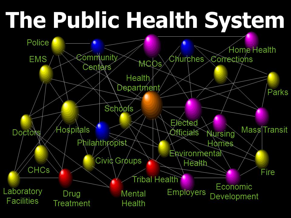The Public Health System