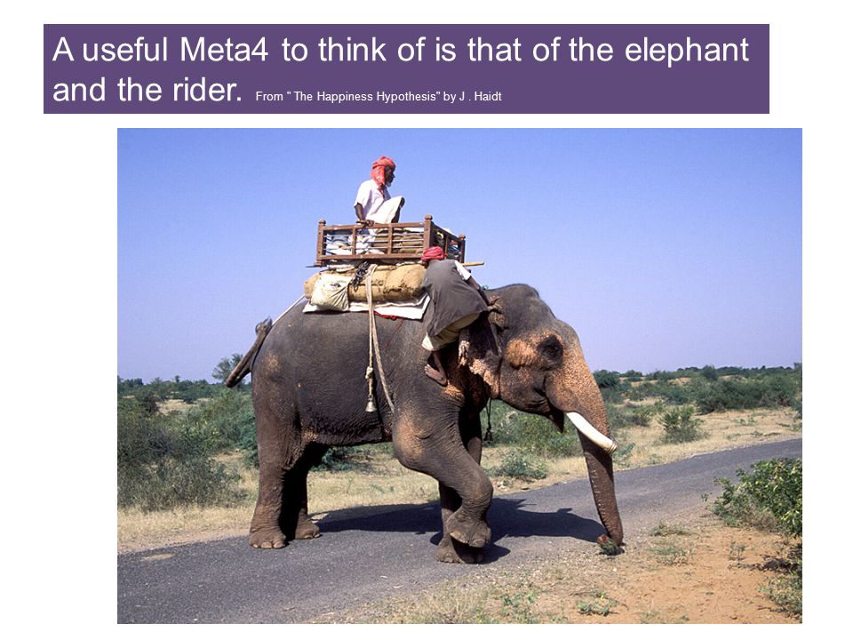 The Rider And The Elephant Ppt Video Online Download The Rider And The Elephant Ppt Video Online Download