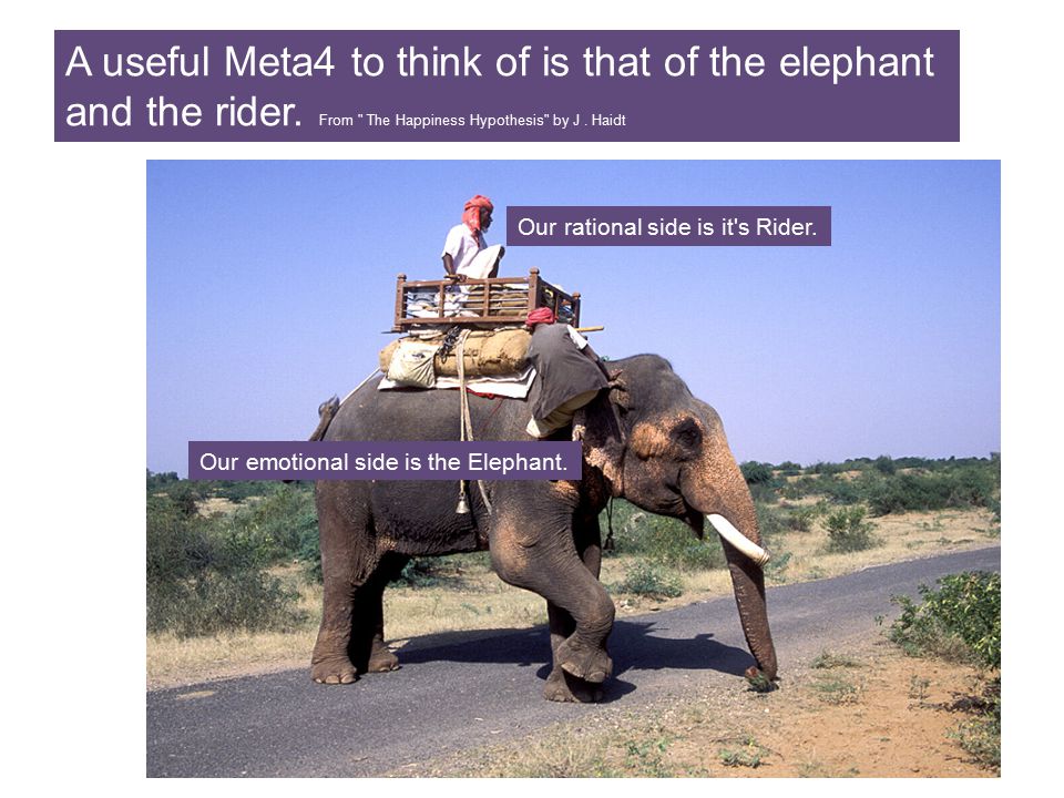 The Rider And The Elephant Ppt Video Online Download