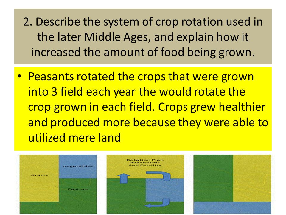 2. Describe the system of crop rotation used in the later Middle Ages, and explain how it increased the amount of food being grown.