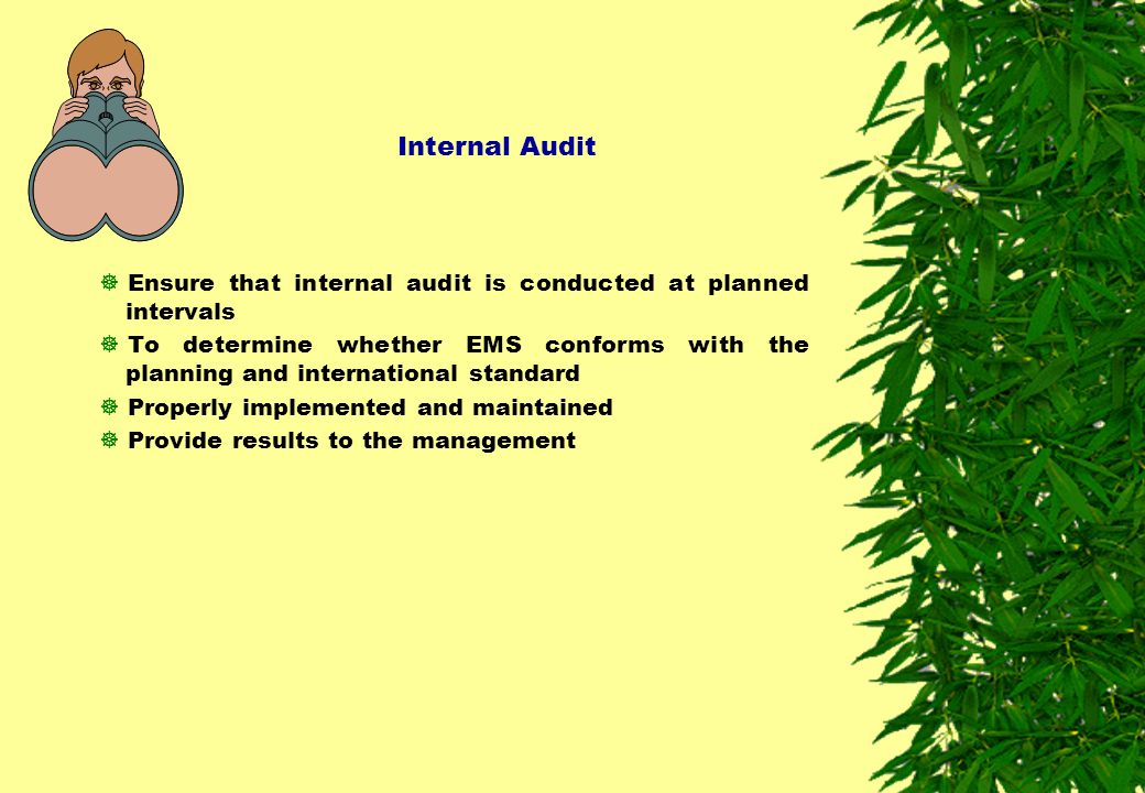 Internal Audit Ensure that internal audit is conducted at planned intervals.