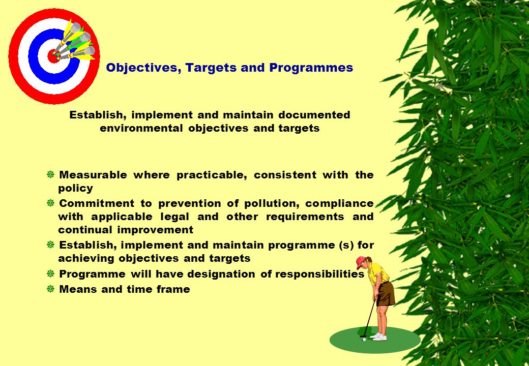 Objectives, Targets and Programmes