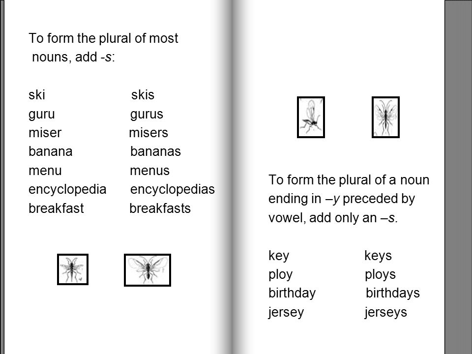 Singular and Plural Nouns # ppt video online download