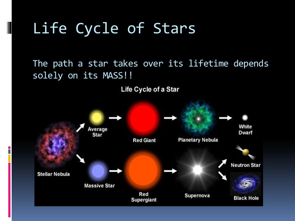 Star life 1. Star Life Cycle. Жизнь звезды в космосе. Цикл жизни нейтронной звезды. Диаграмма нейтронных звезд p/p'.