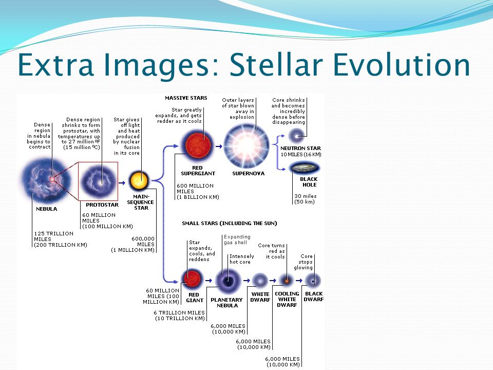 Stellar Evolution Chart