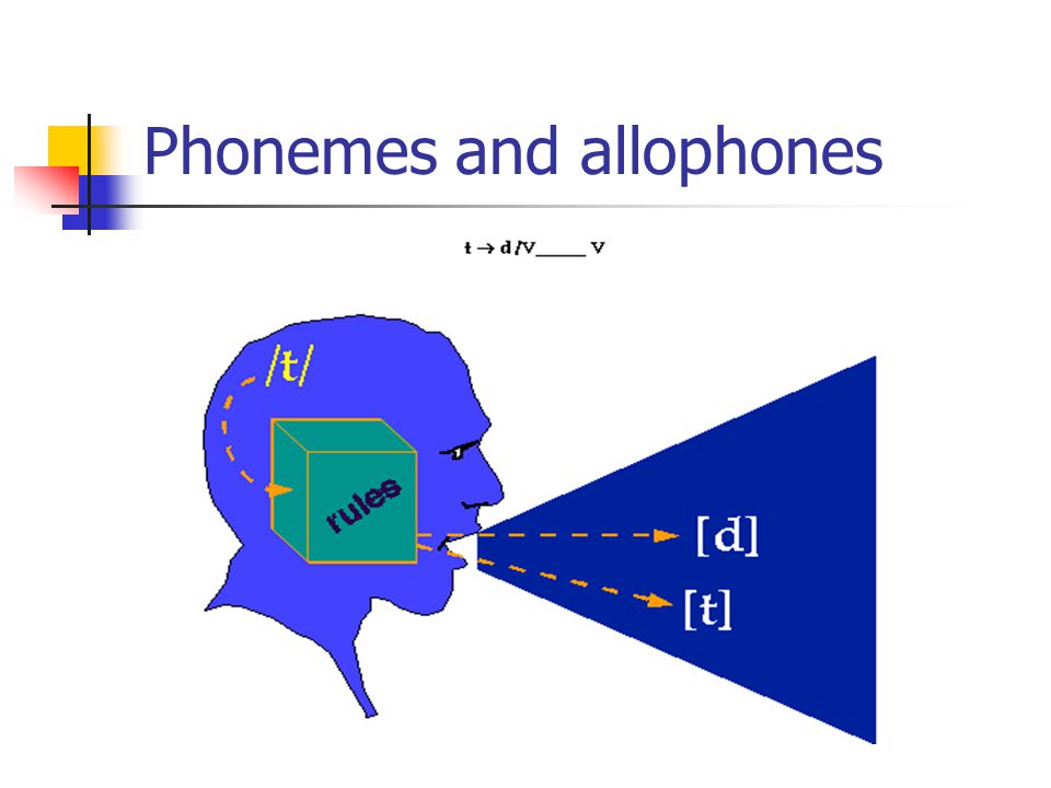 Phonemes and allophones