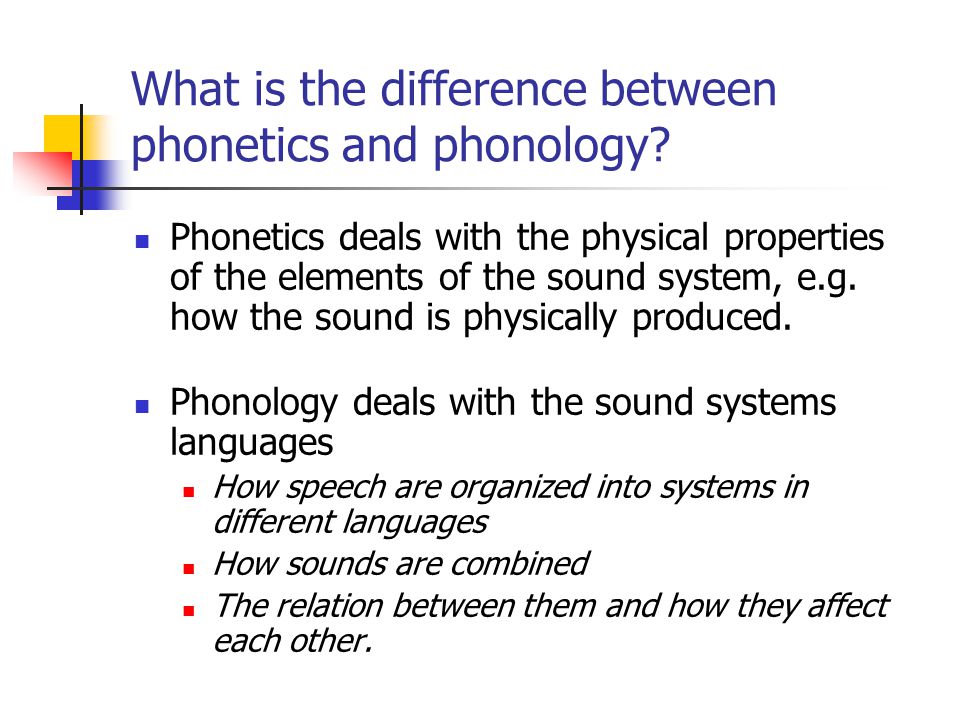 What is the difference between phonetics and phonology