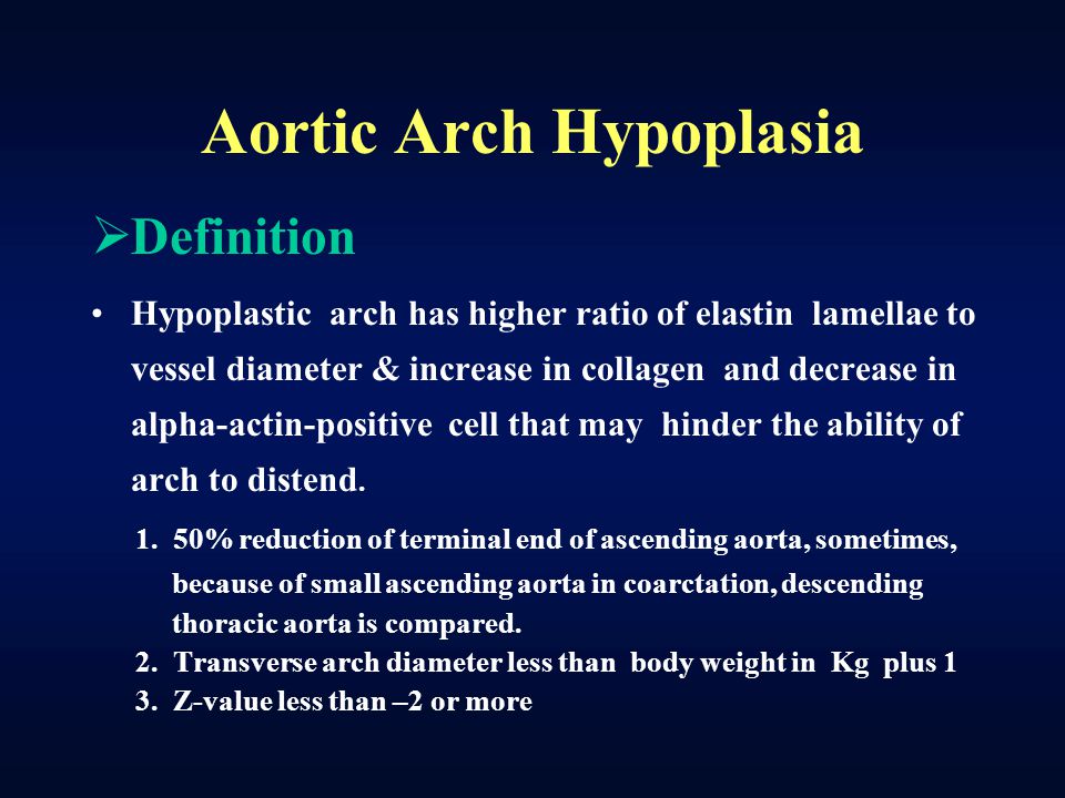 transverse arch aorta