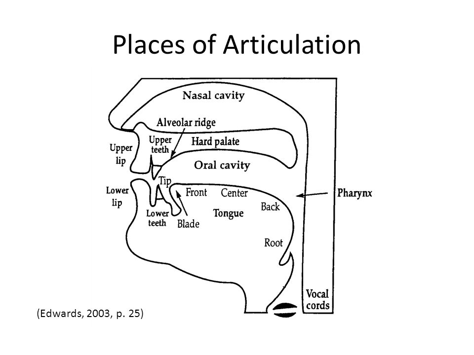 Places of Articulation
