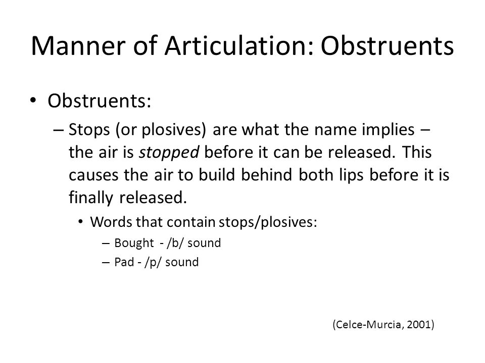 Manner of Articulation: Obstruents