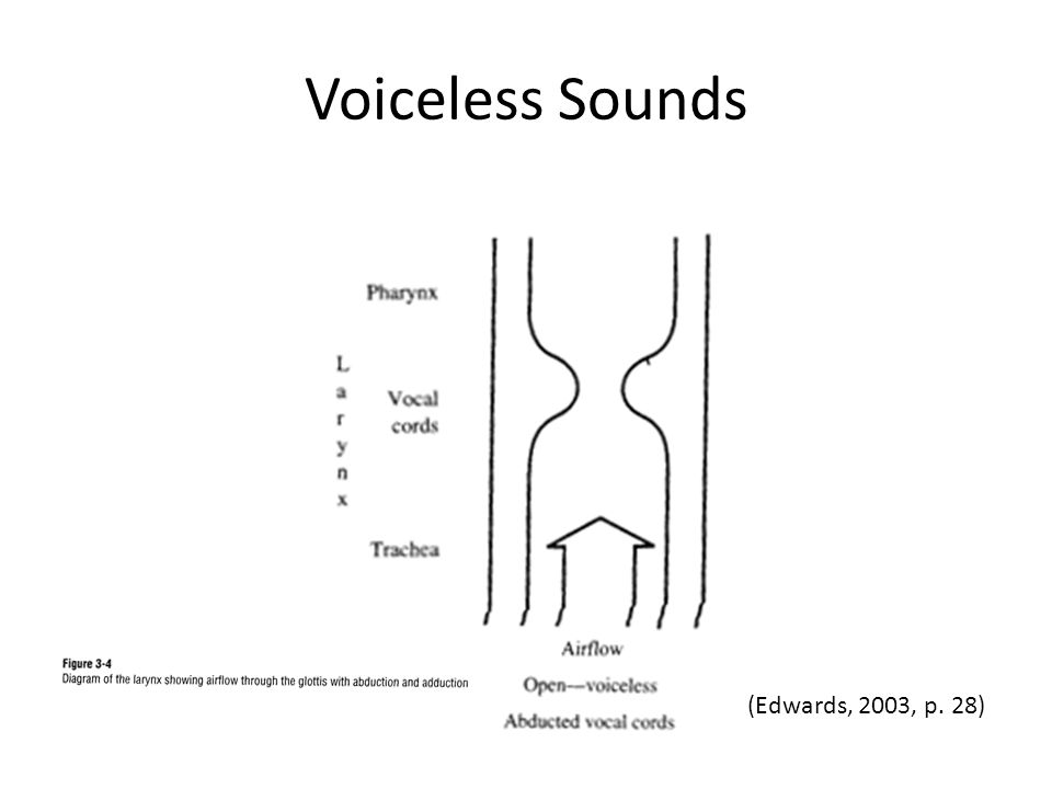Voiceless Sounds (Edwards, 2003, p. 28)
