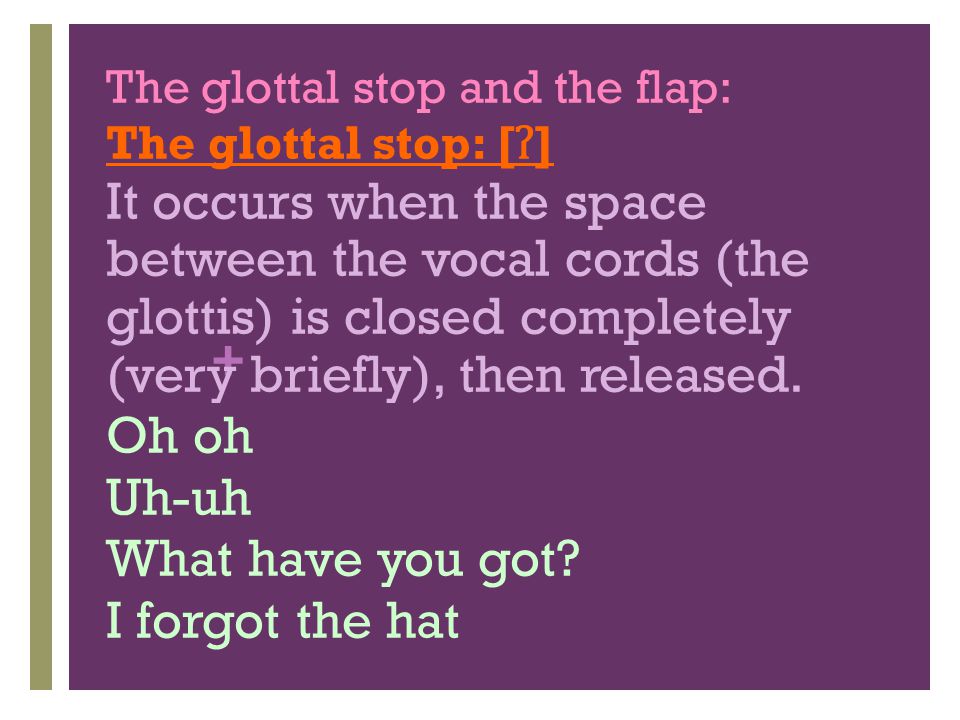 The glottal stop and the flap: