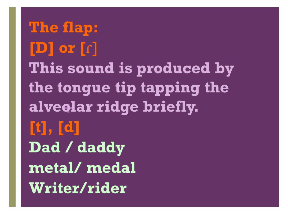 The flap: [D] or [ɾ] This sound is produced by the tongue tip tapping the alveolar ridge briefly.