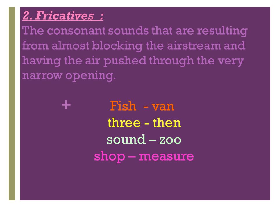 Fish - van three - then sound – zoo shop – measure 2. Fricatives :