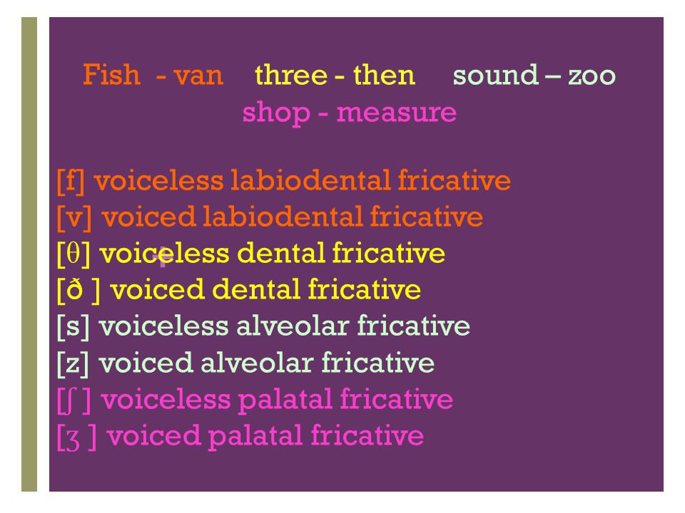 Fish - van three - then sound – zoo shop - measure