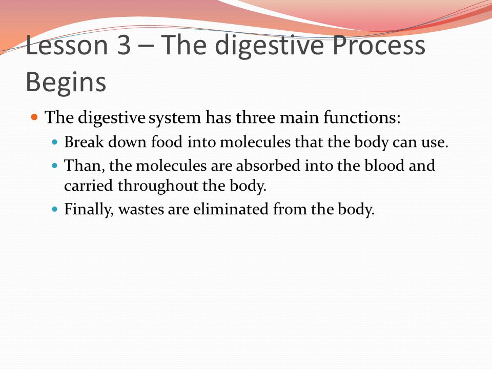 Lesson 3 – The digestive Process Begins