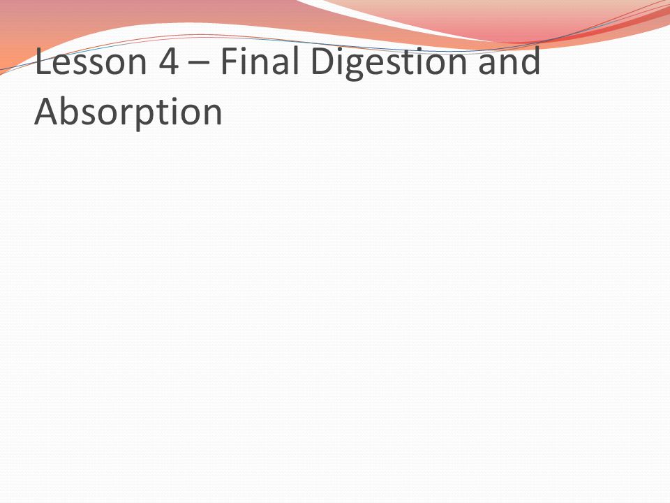 Lesson 4 – Final Digestion and Absorption