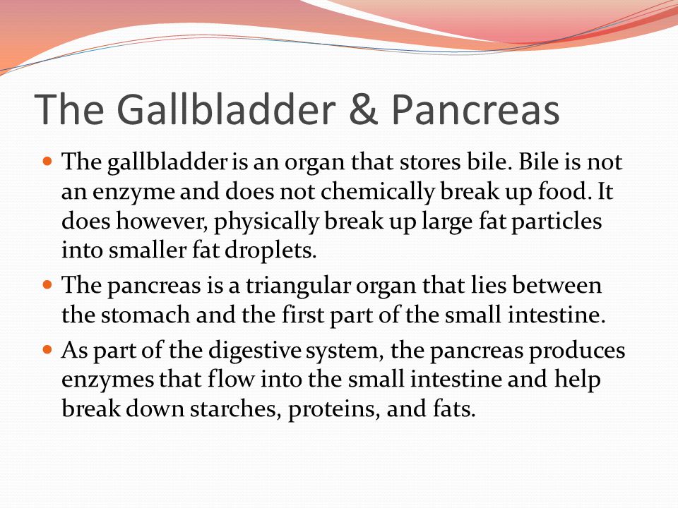 The Gallbladder & Pancreas