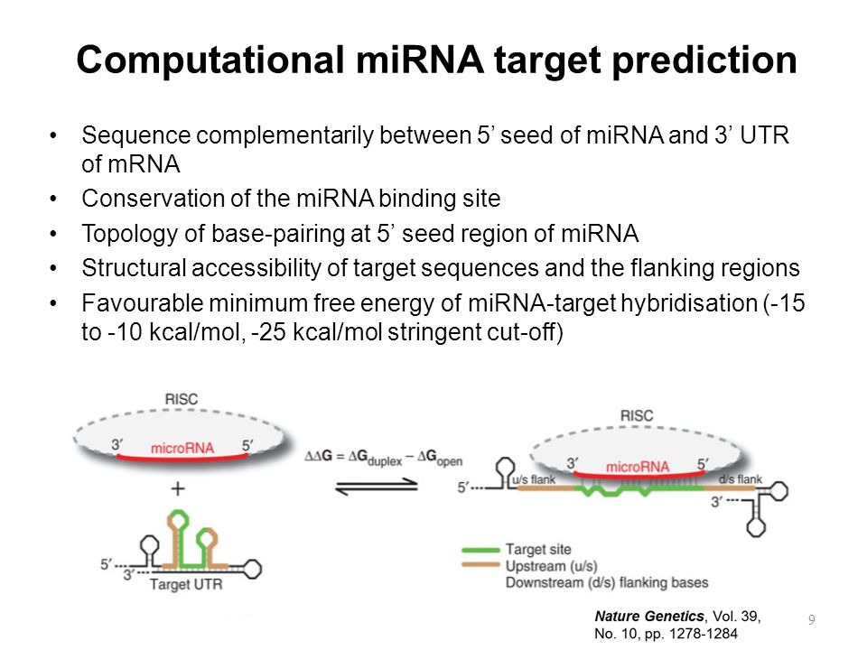 Methods For Identifying Microrna Binding Motifs Ppt Video Online Download Methods For Identifying Microrna Binding Motifs Ppt Video Online Download