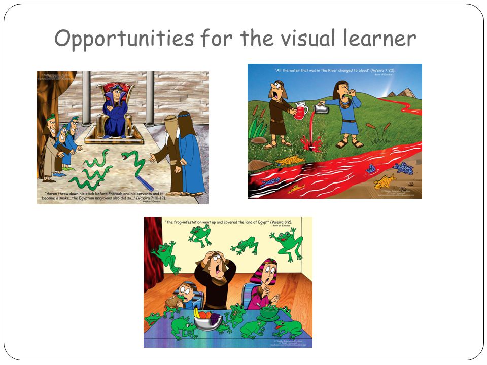 Opportunities for the visual learner