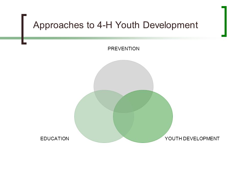Approaches to 4-H Youth Development