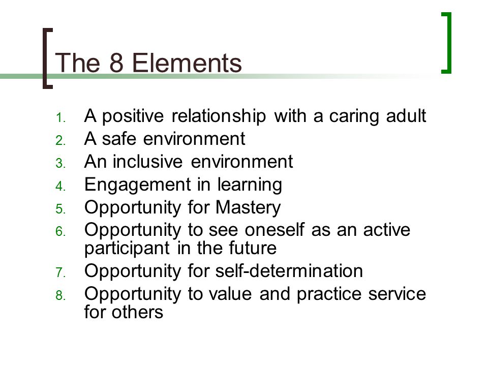 The 8 Elements A positive relationship with a caring adult