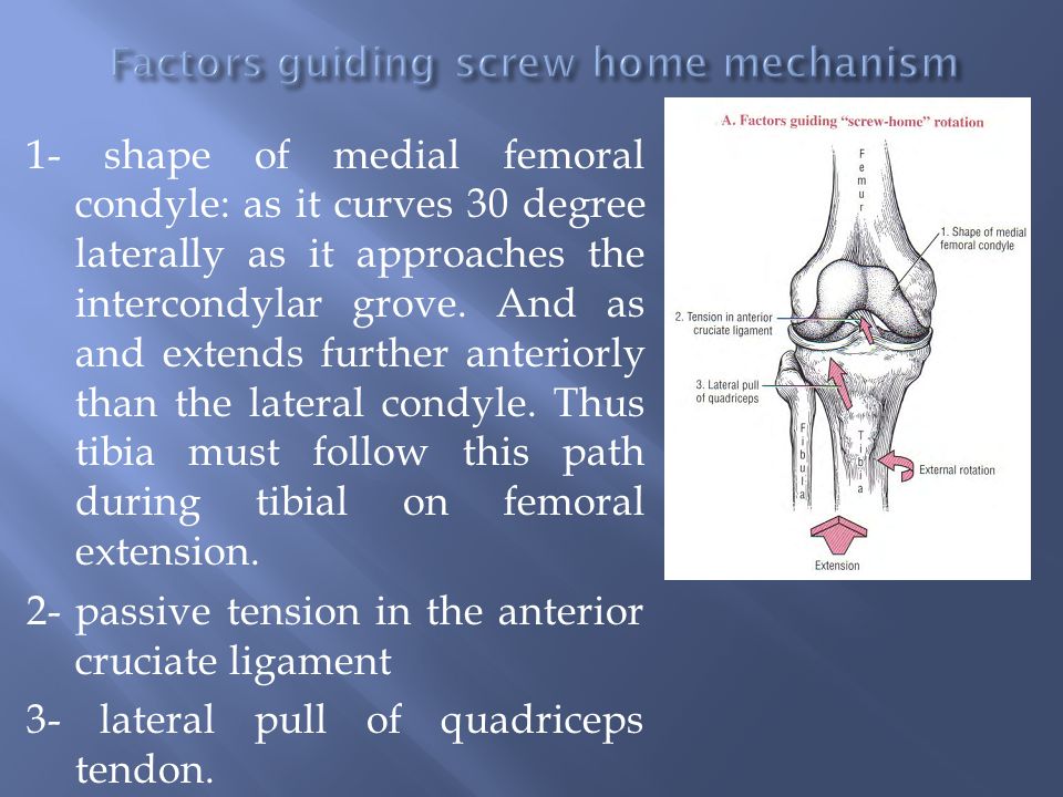 Pathomechanics of Knee Joint (part 1) practical section - ppt video online  download