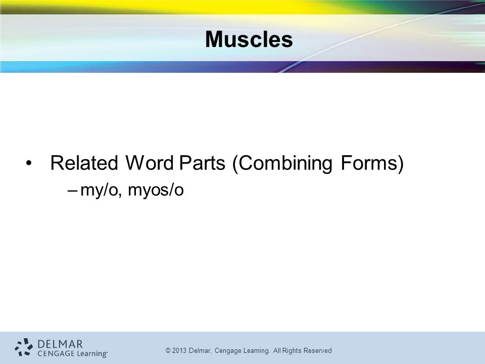 Muscles Related Word Parts (Combining Forms) my/o, myos/o