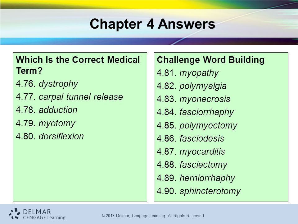 27+ Chapter 4 Muscular System MeganeDawood
