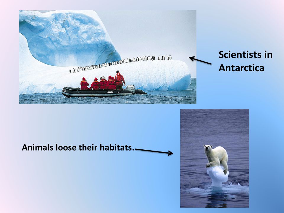 Scientists in Antarctica