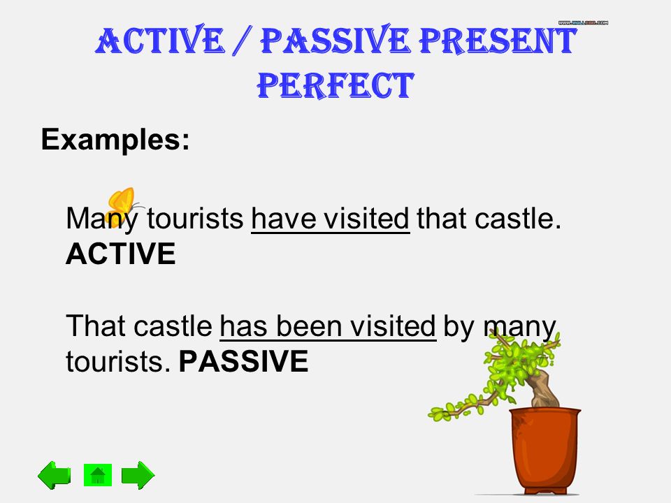 Present perfect passive form