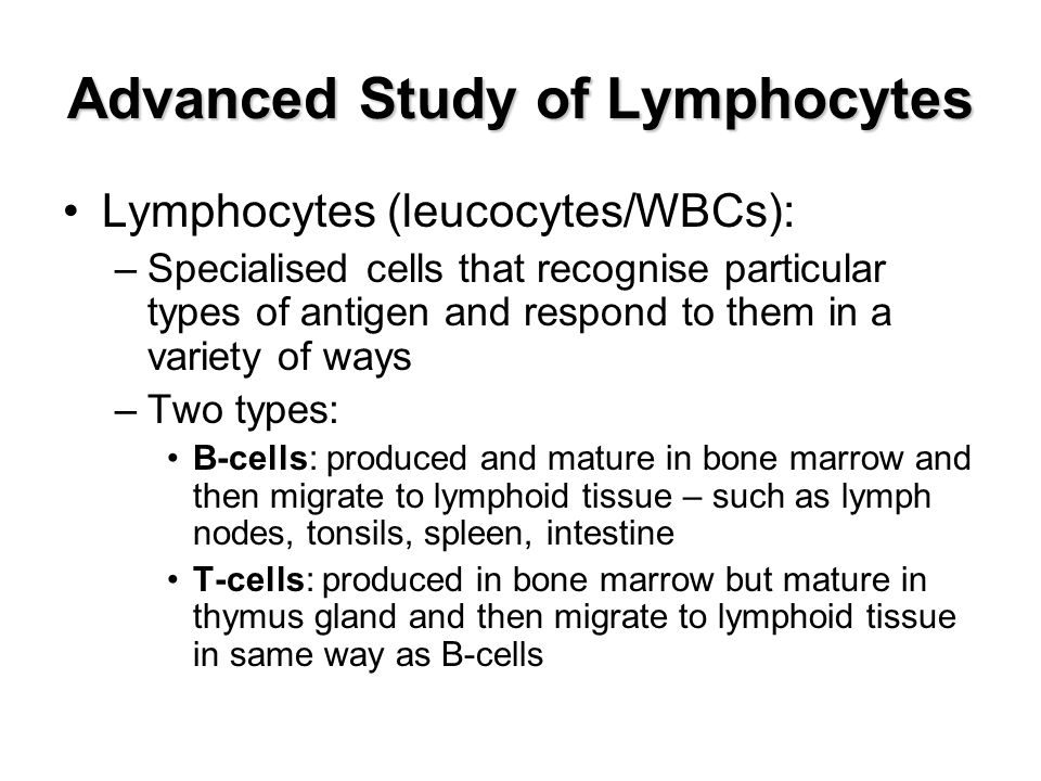 Advanced Study of Lymphocytes