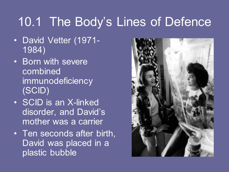 10.1 The Body’s Lines of Defence