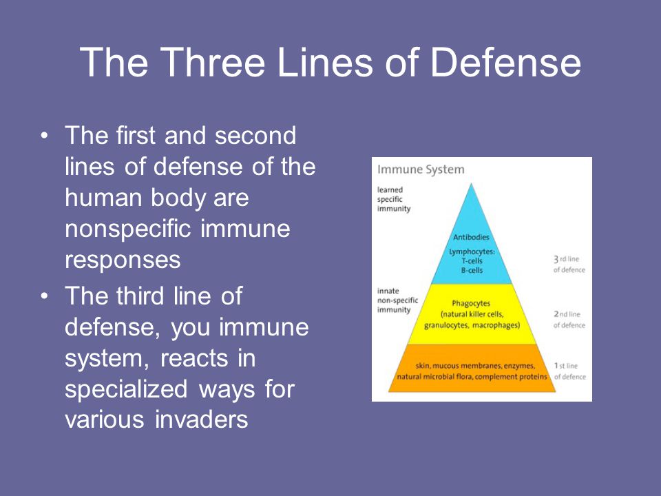 The Three Lines of Defense