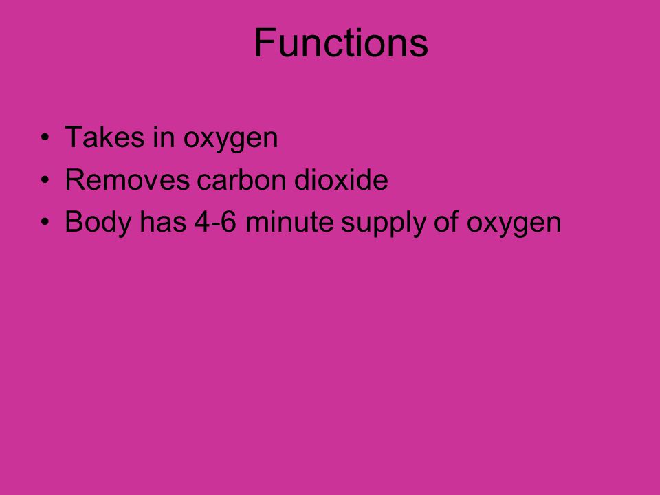 Functions Takes in oxygen Removes carbon dioxide