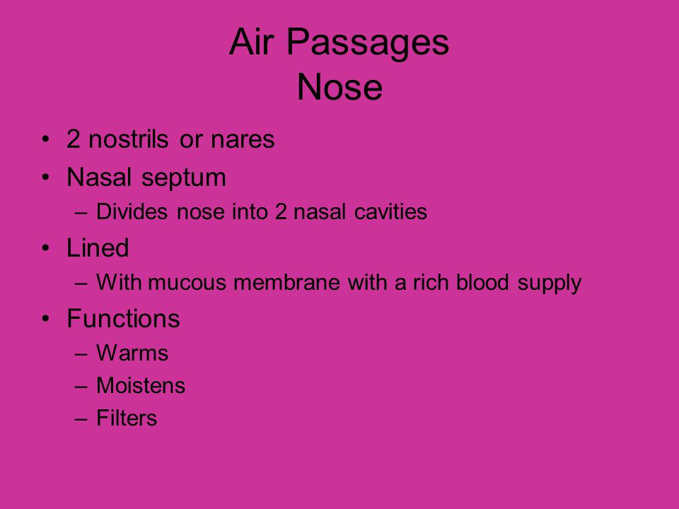 Air Passages Nose 2 nostrils or nares Nasal septum Lined Functions