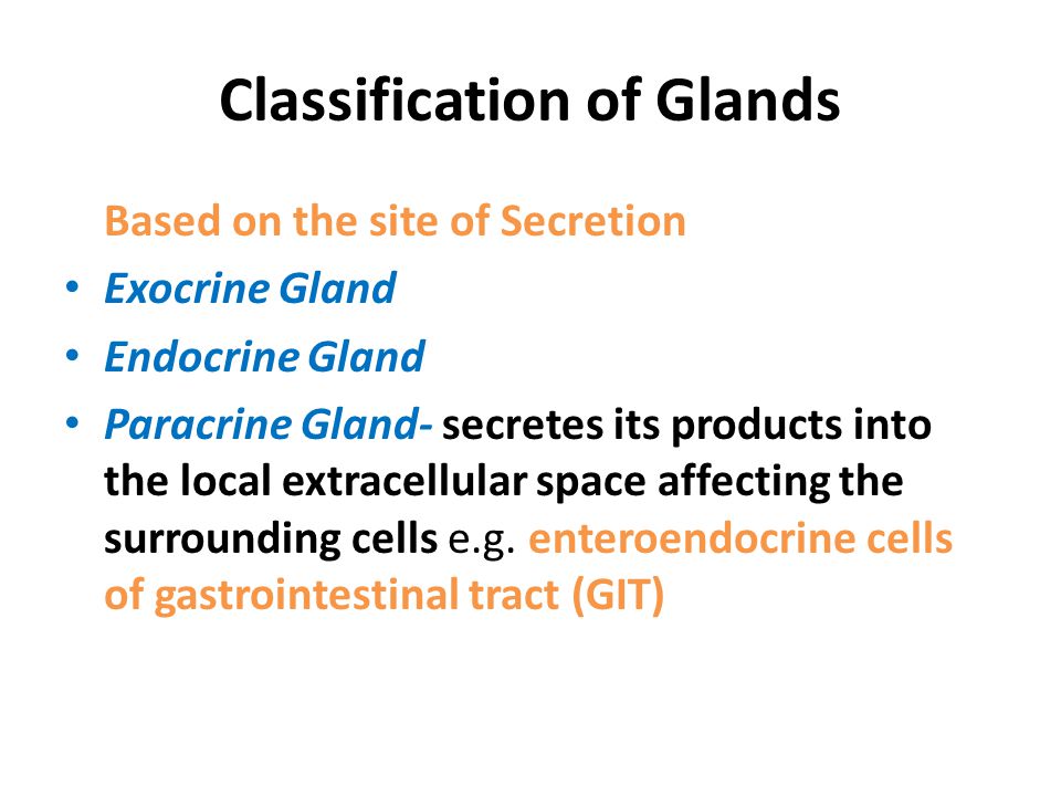 Histology of Salivary Glands - ppt video online download